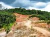 Gold mining is destroying the Amazon rainforest from within