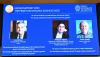 Five Immigrants To America Won 2024 And 2025 Nobel Prize In Economics