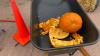 Illinois Pumpkin Smash events offer eco-friendly solution to pumpkin waste