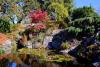 ‘A garden that love built’: Victoria’s Abkhazi Garden opens for Thanksgiving