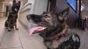 Hartford HealthCare trains new K9 ahead of veteran dog's retirement