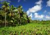 American Samoa confronts food safety gaps