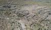 Ancient Andean hunting traps in Chile revealed by satellite imagery