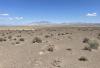 Feds Cancel 6.2-GW Nevada Solar Plant in Latest Barrage of Anti-Renewables Crusade