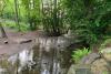 EPA warns water quality in Ireland has deteriorated