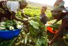 Gov’t calls for private sector investment to boost agricultural growth