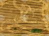 Agricultural Land Owners’ Association Opposes Calls for Resignations, Protests and Pressure on Agriculture Ministry Leadership