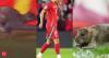 Viral Video! Cat and Rat cause hilarious delay in Wales-Belgium World Cup qualifier in Cardiff