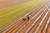 Global experts praise China for innovations in sustainable agriculture