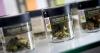 Scientists identify key reason people may routinely use or get addicted to cannabis