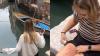 Polish tourist falls into Venice canal while following Google Maps, video goes viral