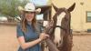 Take a horse-drawn wagon ride at The Stables at Fort McDowell Adventures | Rediscover Arizona