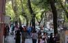 Albania counts 19,000 unemployed university graduates — technical professions in short...