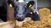 Agriland launches series on ‘Efficient animal production’ with Grassland Agro