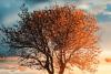 Tech fuels global weather governance
