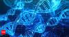 “Google for DNA”: Scientists create the world’s first and fastest genetic search engine