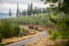 University of Idaho Launches Forest Innovations Institute for Forestry Research