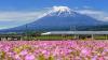 New travel rules (and costs) for Aussies visiting Japan