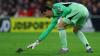 Rat invades the pitch during Belgium vs Wales FIFA World Cup Qualifier; players forced to chase it off the field