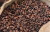 Cocoa overtook crude oil as Nigeria’s main export to Belgium: Envoy