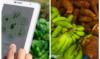Youth in agriculture are key to future of health in Dominica, says Sen.Oscar George