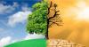 Parametric Insurance for Climate Change Adaptation