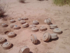 [Yemen : Masam Project Clears Deadly Mines Washed into Saada by Floods