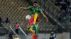 Africa's teams did their best to thrill, and infuriate, on their way to the World Cup