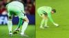 Video: Rat goes viral after disrupting Belgium and Wales World Cup qualifier