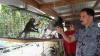 How mines, bombs and US military plans fuel a monkey island takeover
