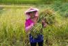 China-BRI partner nations' food trade to grow