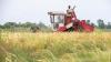 Better food systems for a better future
