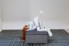 A Psychoanalyst and an Internet Theorist Get Real About the Ritual Humiliation of Life Online