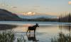 Experts predict travel trends for 2026 - including hotel hopping, 'salvaged stays' and farm charm