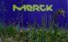 Germany's Merck tweaks mid-term healthcare unit guidance, has 'appetite' for more M&A