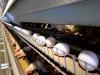 VOX POPULI: Mourning the loss of eggs as the ‘star student’ of budget food
