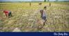 The fight for safe food production in Bangladesh