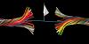 Can Technology Save a World Hurtling Toward Disorder?