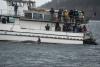 Science The Independent How underwater internet cables could help save these endangered whales