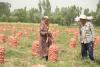 Tajikistan needs US$1.4 billion in investments to improve nutrition, says World Bank