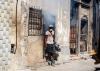 Dengue, Oropouche fever, chikungunya: an epidemiological crisis has Cuba on edge