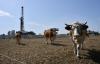 Croatia Continues to Boast Impressive Geothermal Potential