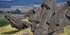 The Statues of Easter Island ‘Walked’ Into Place, Scientists Say