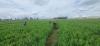 Europe’s quiet bet on Nigerian agriculture