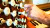 Austria serious about domestic gas and is pulling out all the stops