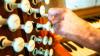 Austria digging deep for homemade gas