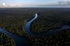 Science AFP Ahead of COP30, climate skeptics misuse study on Amazon forests