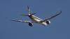Singapore Airlines about to ramp up Auckland flights by a third