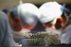 Colorado hospital paused surgeries for a week after inspectors found hundreds of instruments covered in ‘dried blood and tissue’