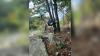 Connecticut goats escape from farm, settle near Interstate 95 and gain online fanbase